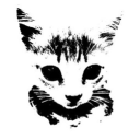 avatar ⃟⃟⃟⃟⃟⃟⃟⃟⃟⃟⃟⃟