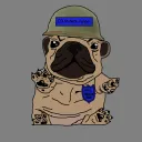 maxshieldman