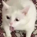 __________n