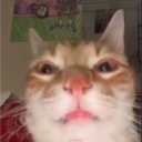 avatar ➤👑GRX1ZLY