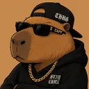 capy_vansh