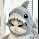 funface9612