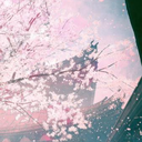月明