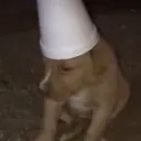 ninopro0750_50156 avatar