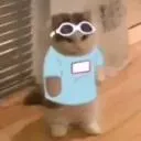 crumbleample20448