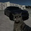 smqddi