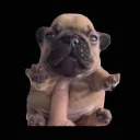 Аватар xenis2281