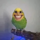 almablindada