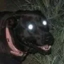 meatmun