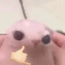 itswolfsoulvt