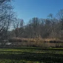 tryhardeandolo