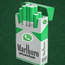 avatar Marlboro Whatsapp