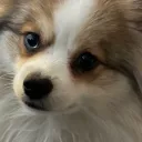 ionfury