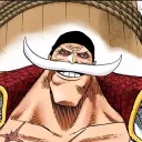sc6i