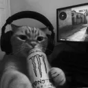 blackwolf2.0__