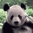 rexs123