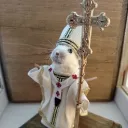 al3ksdex_46195 avatar