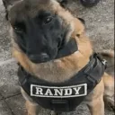 randy.the.dog