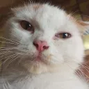 olivv98_