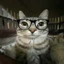 9253020803 avatar