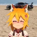 not_a_hamster