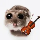 vlad_tomuacom_64789 avatar