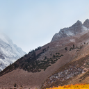 chapkines_75159