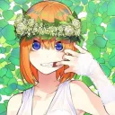 komurjelibest12 avatar