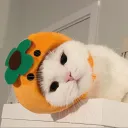 knypciuu0000