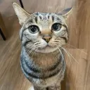 mr.penis_96525 avatar