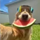immernoch_finlay
