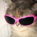 avatar ! > 𝐹𝒞𝒩~ 💞