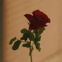 apollo_ksh