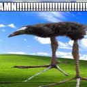 devilishsheep41 avatar