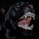 avatar Brandon Chusko