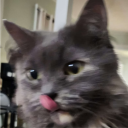 Discord Avatar