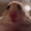 fatsmoke