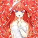 max._0x