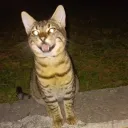 rantaaaa