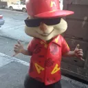 wedofraudfn