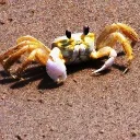 Аватар angel22890