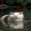 Аватар qwileys