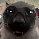 unepatoune