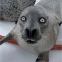 Аватар ninza0432