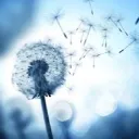 serendipity_seeker