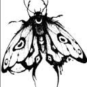 avatar metamorphosis
