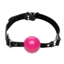 bdsm_trainer2