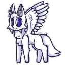 codydaspoopywingedwolfo2