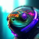iliketurtles85