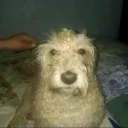stfuid_